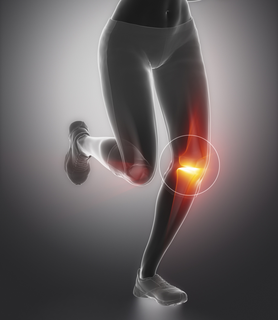 Focused on knee and meniscus in sports injuries